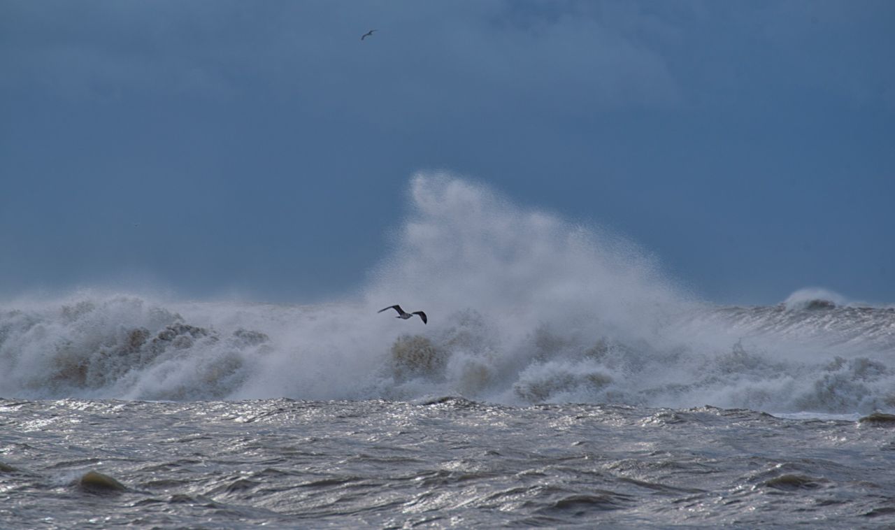 Dimmi che vento spira e saprai che mare avrai